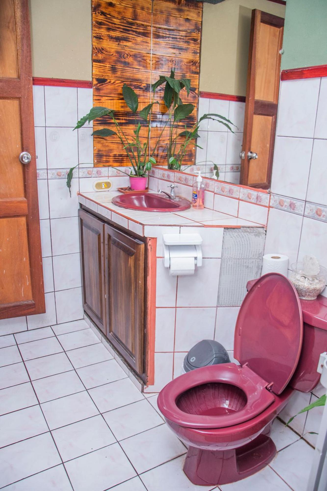 Gardens House, Airport Juan Santamaria, Alajuela, San Jose Pansiyon Dış mekan fotoğraf