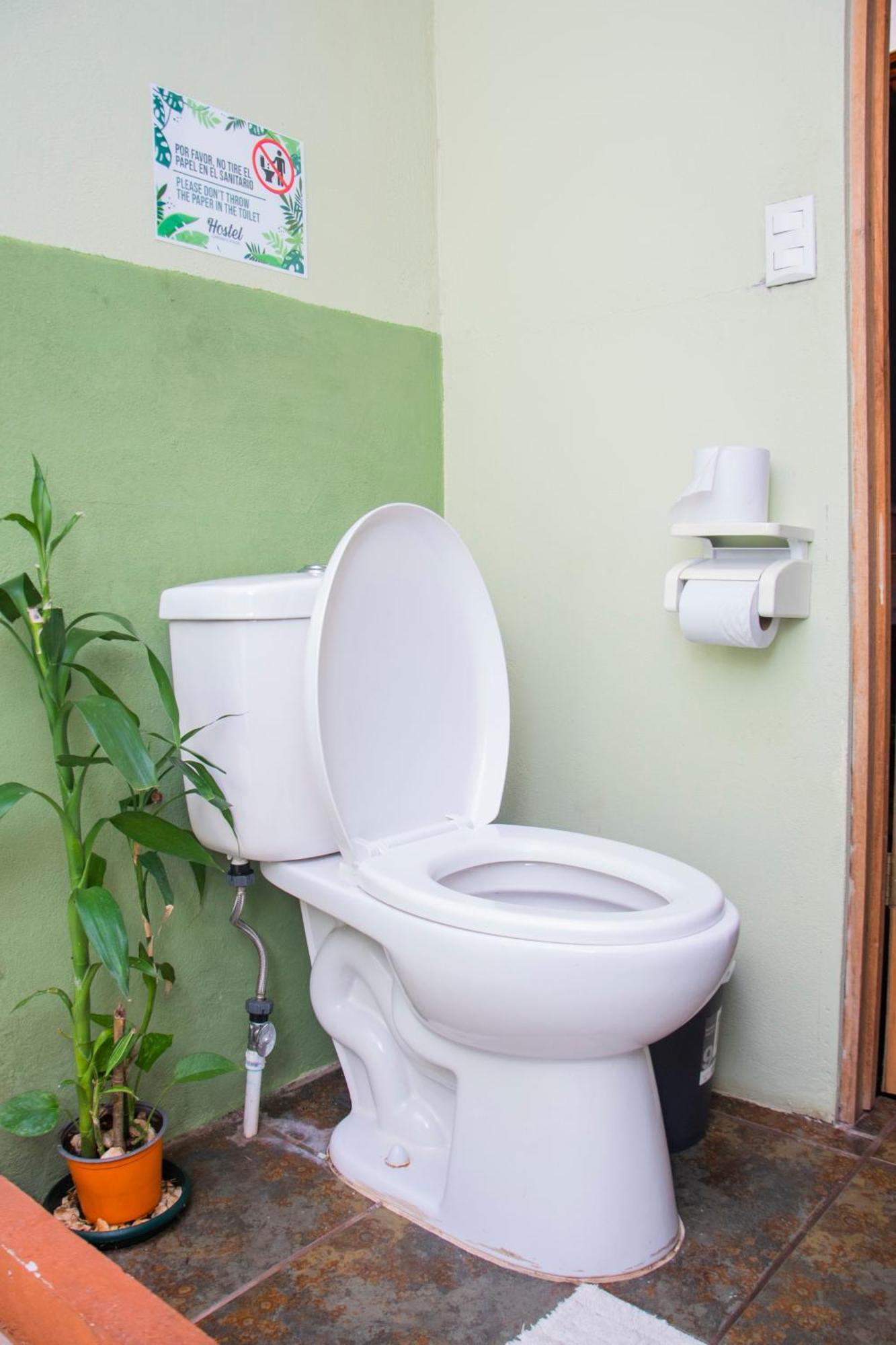 Gardens House, Airport Juan Santamaria, Alajuela, San Jose Pansiyon Dış mekan fotoğraf